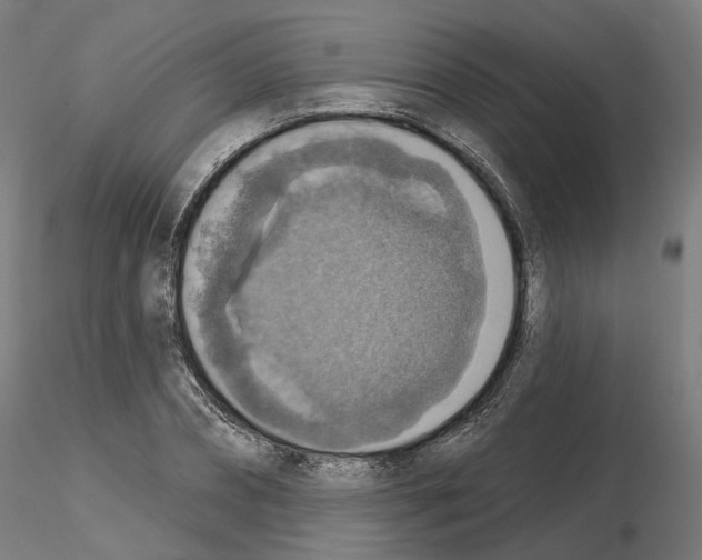 X0000115610882200912221205