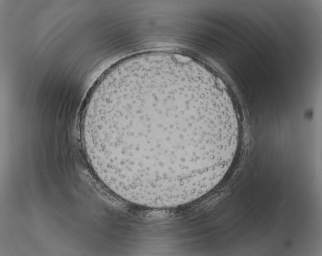 X0000115610883200912221205