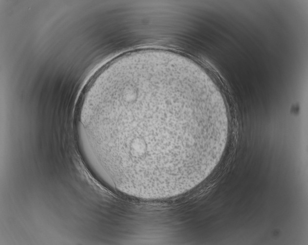 X0000115610884200912221205