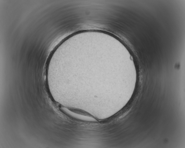 X0000115610885200912221205