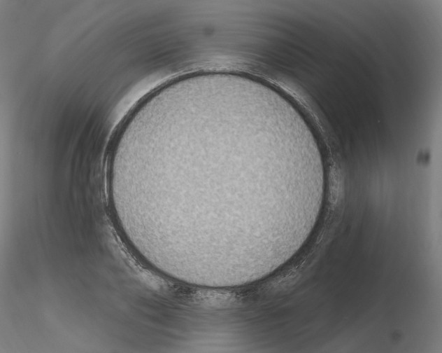 X0000115610886200912221205