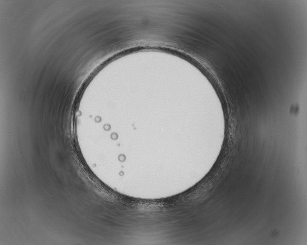 X0000115610887200912221205