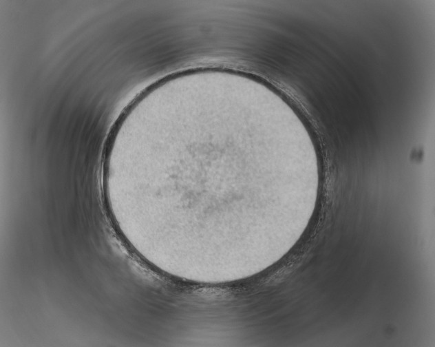 X0000115610888200912221205