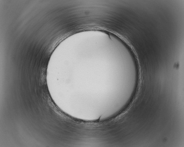 X0000115610889200912221205