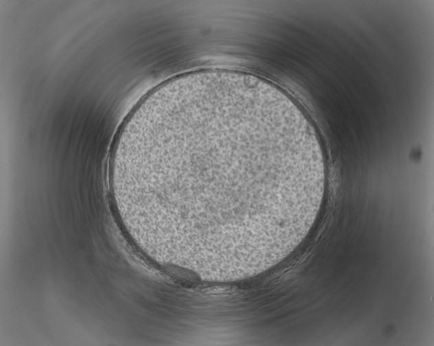 X0000115610891200912221205