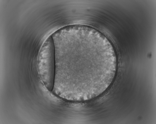 X0000115610892200912221205