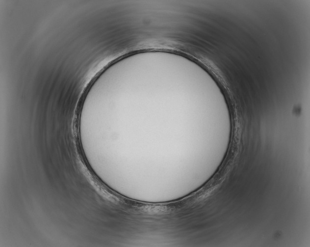 X0000115610893200912221205