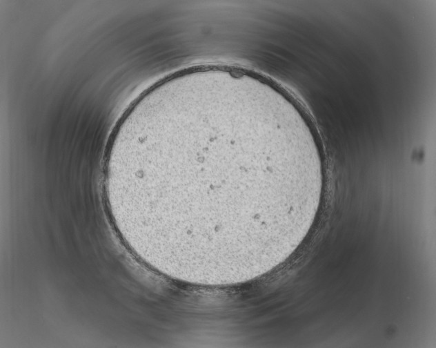 X0000115610895200912221205