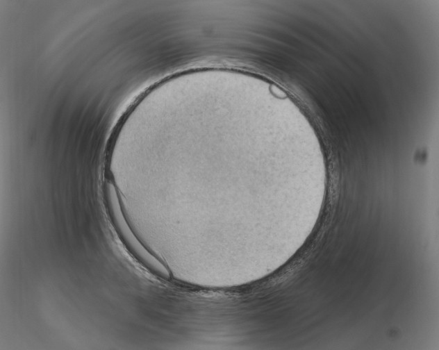 X0000115610896200912221205