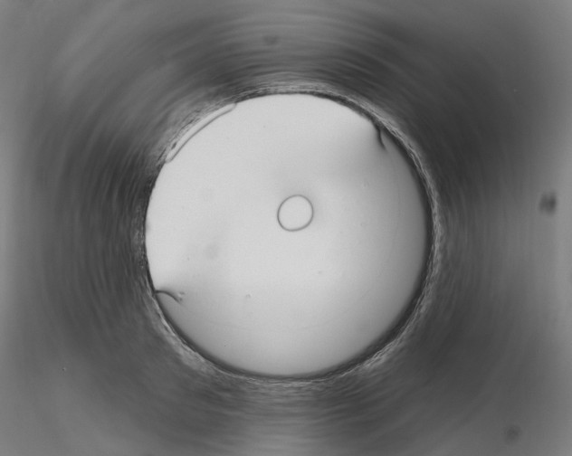 X0000115610897200912221205
