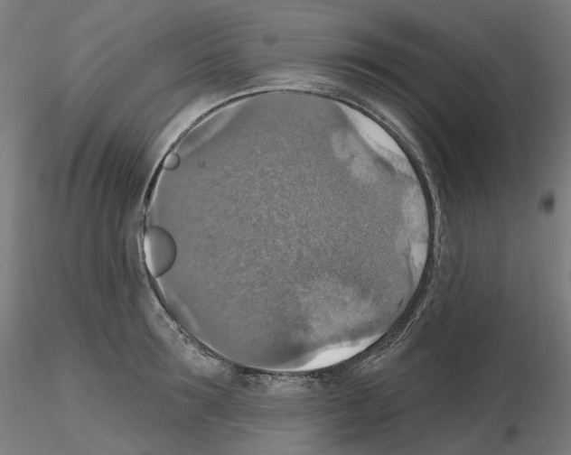 X0000115610899200912221205