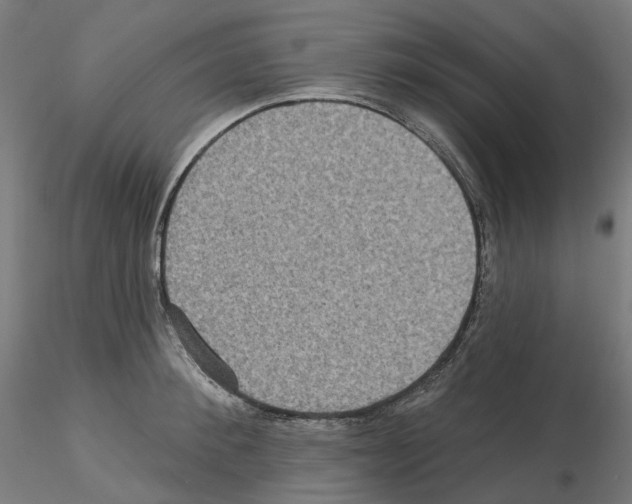 X0000115610900200912221204
