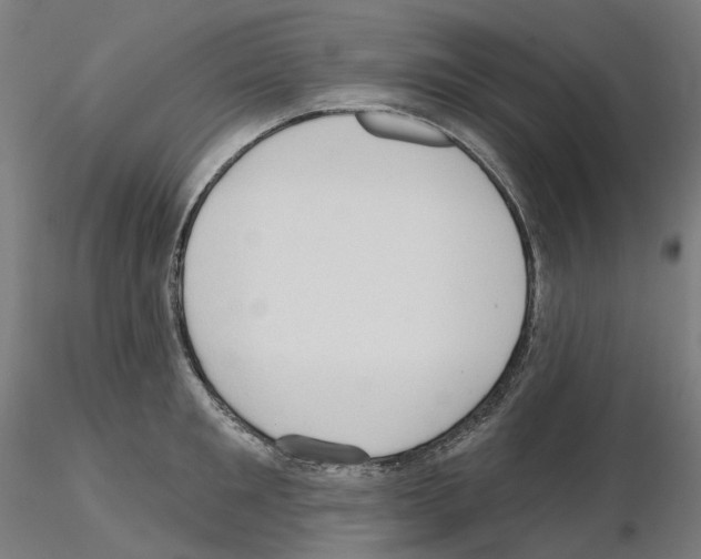 X0000115610901200912221204