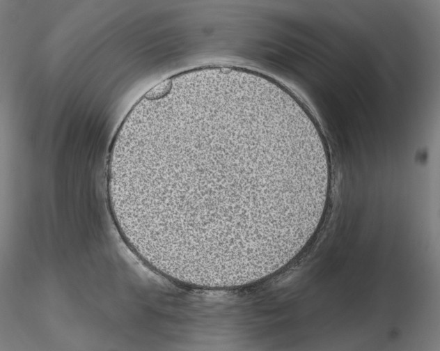 X0000115610903200912221204