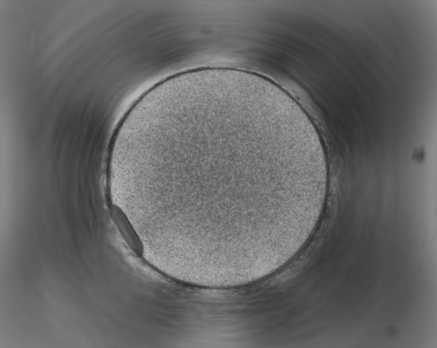 X0000115610904200912221204
