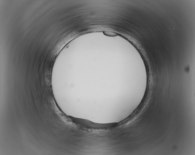 X0000115610905200912221204