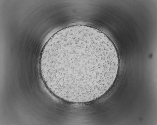 X0000115610906200912221204