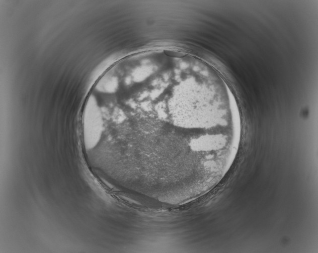 X0000115610907200912221204