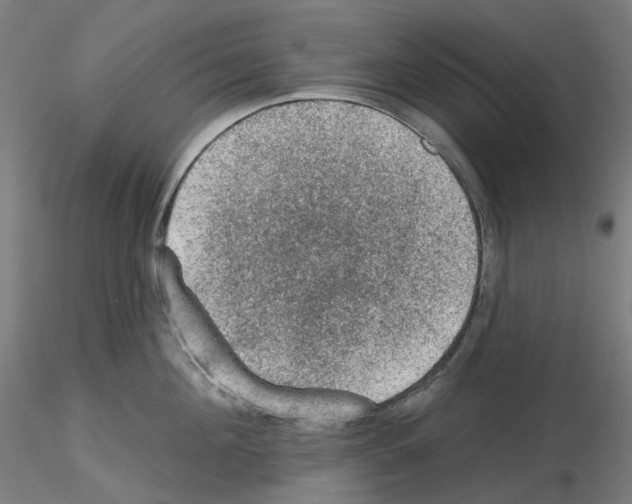 X0000115610908200912221204