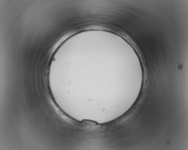 X0000115610909200912221204