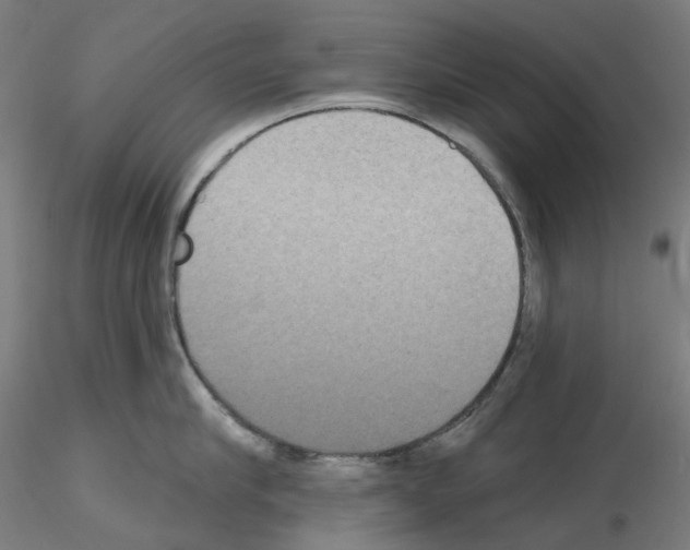 X0000115610910200912221204