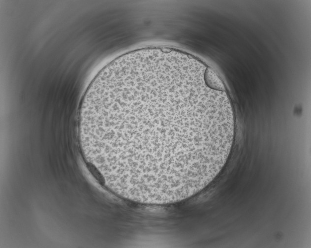 X0000115610911200912221204