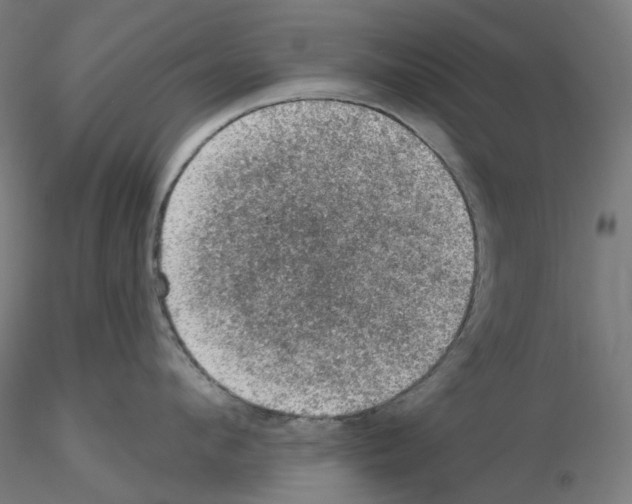 X0000115610912200912221204
