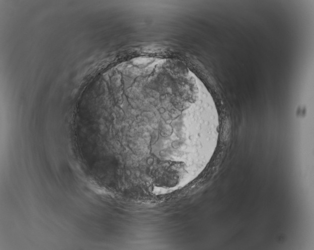 X0000115610913200912221204