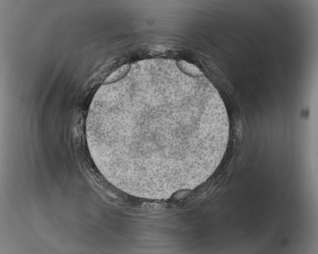 X0000115610914200912221204