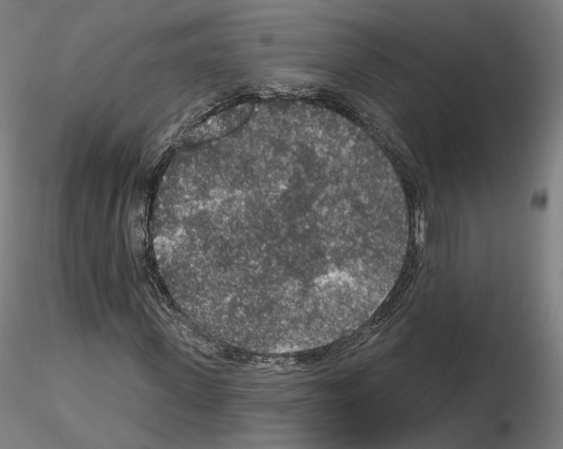 X0000115610915200912221204