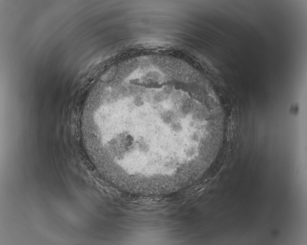 X0000115610917200912221204