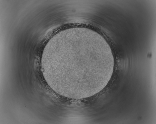 X0000115610918200912221204