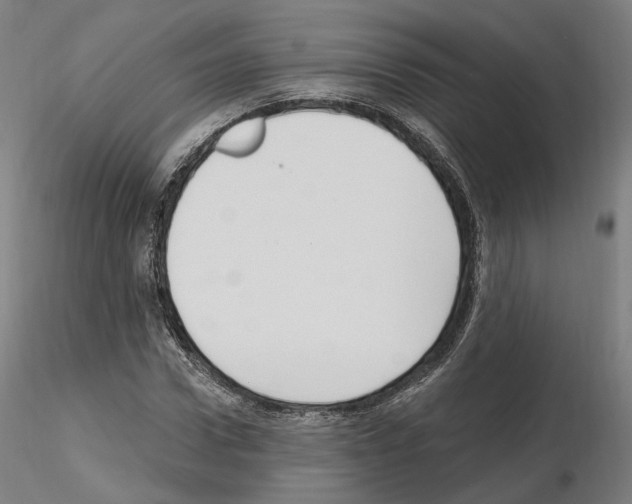X0000115610922200912221204