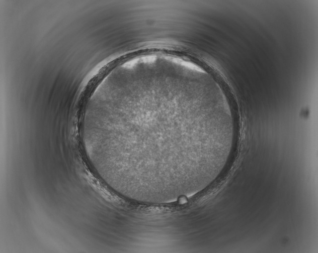 X0000115610923200912221204