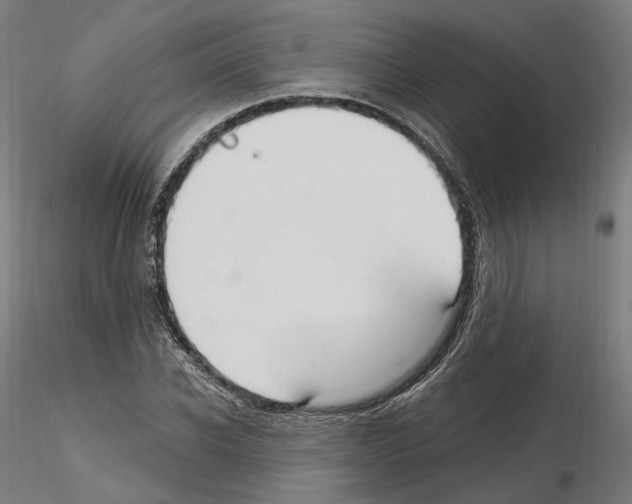 X0000115610926200912221204