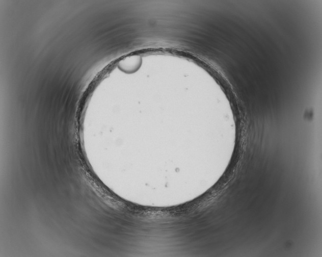 X0000115610927200912221204
