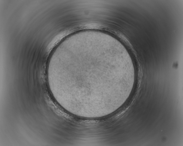 X0000115610930200912221204