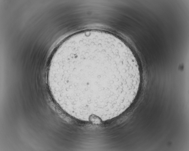 X0000115610931200912221204