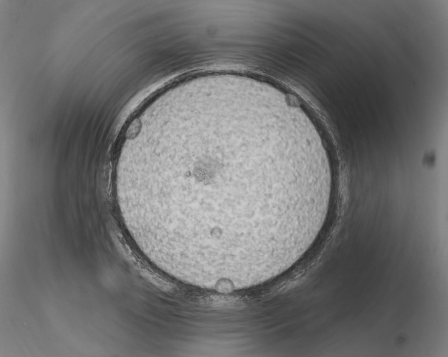 X0000115610933200912221204