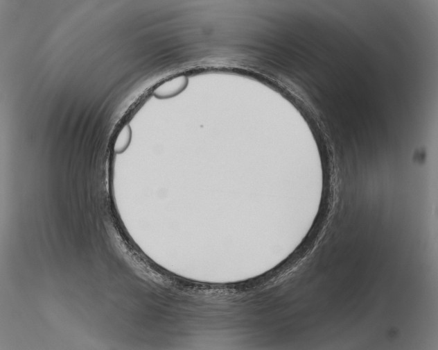 X0000115610934200912221204