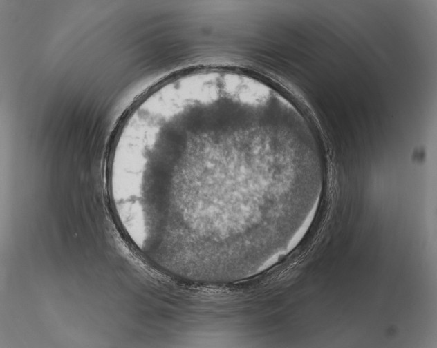 X0000115610935200912221204