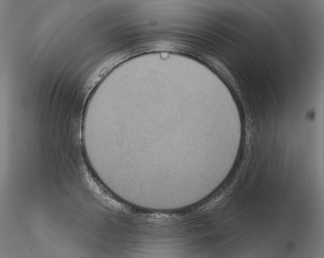 X0000115610938200912221204