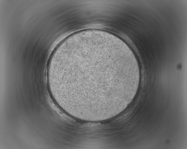 X0000115610939200912221204