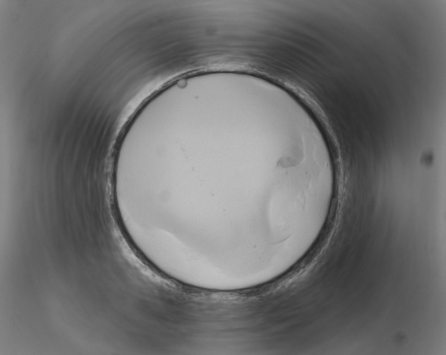 X0000115610941200912221204