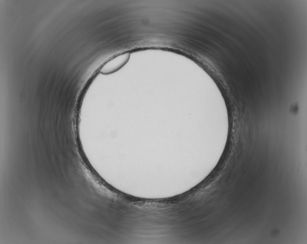 X0000115610942200912221204
