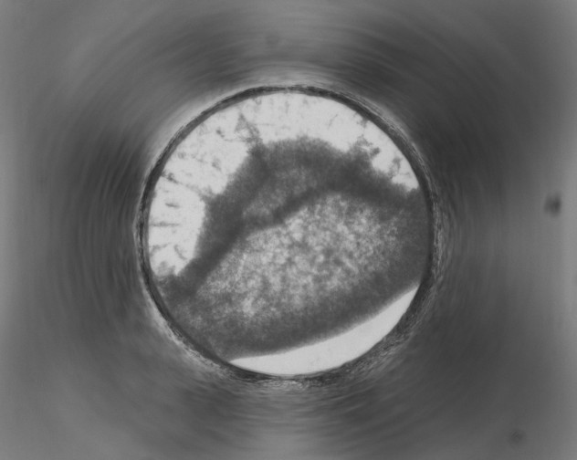 X0000115610943200912221204