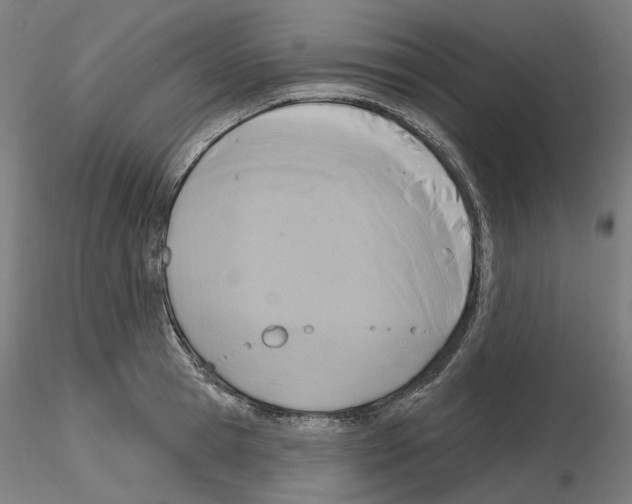 X0000115610945200912221204