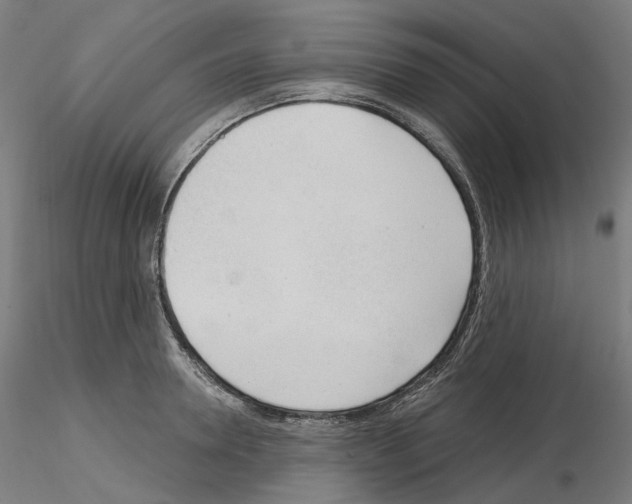 X0000115610946200912221204