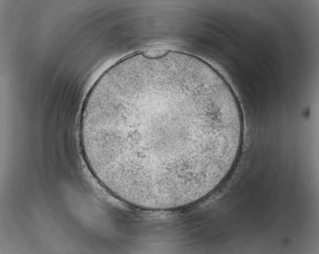 X0000115610949200912221204