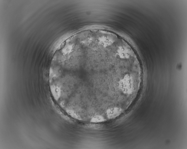 X0000115610953200912221204